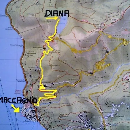 Diana *