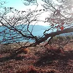 Diana Отель