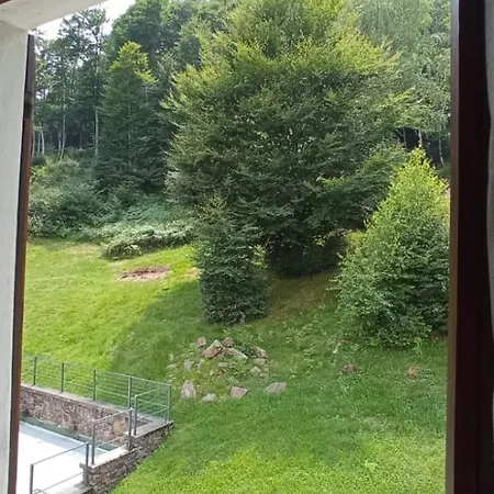 Hotel Diana *