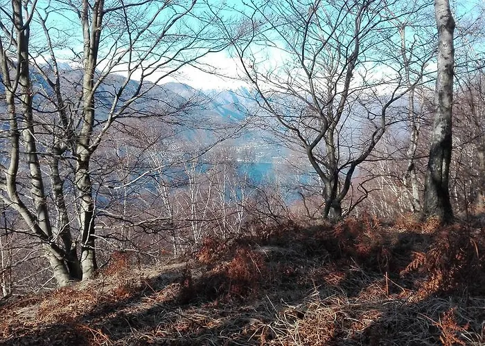 Diana 호텔 트론자노 라고 마지오레